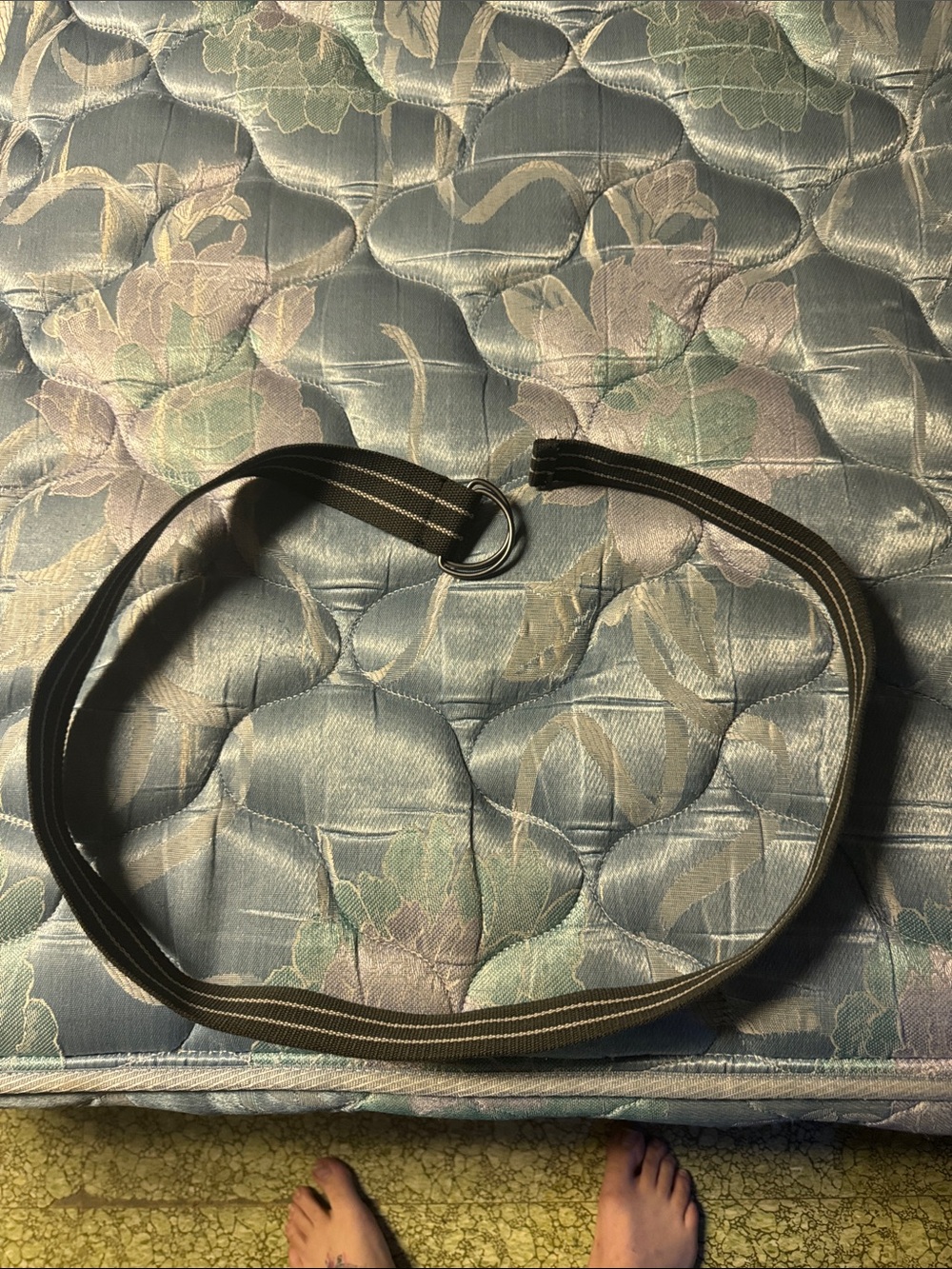 Men's Brown Webbing D-Ring Belt - Classic Casual Style